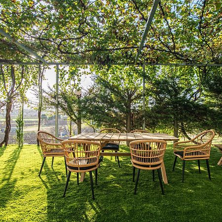 Chamomile Apartment Oinofyta Εξωτερικό φωτογραφία