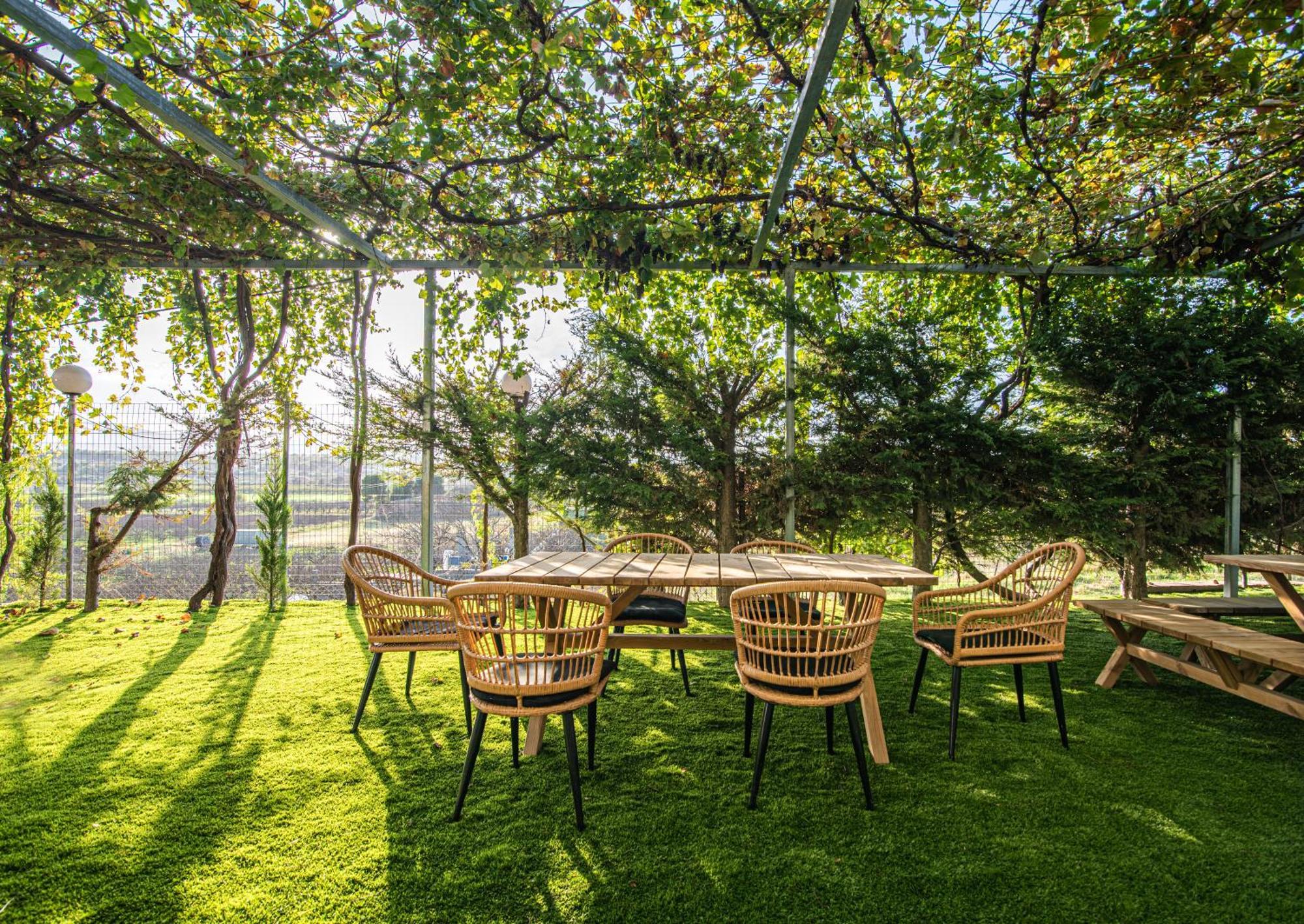 Chamomile Apartment Oinofyta Εξωτερικό φωτογραφία